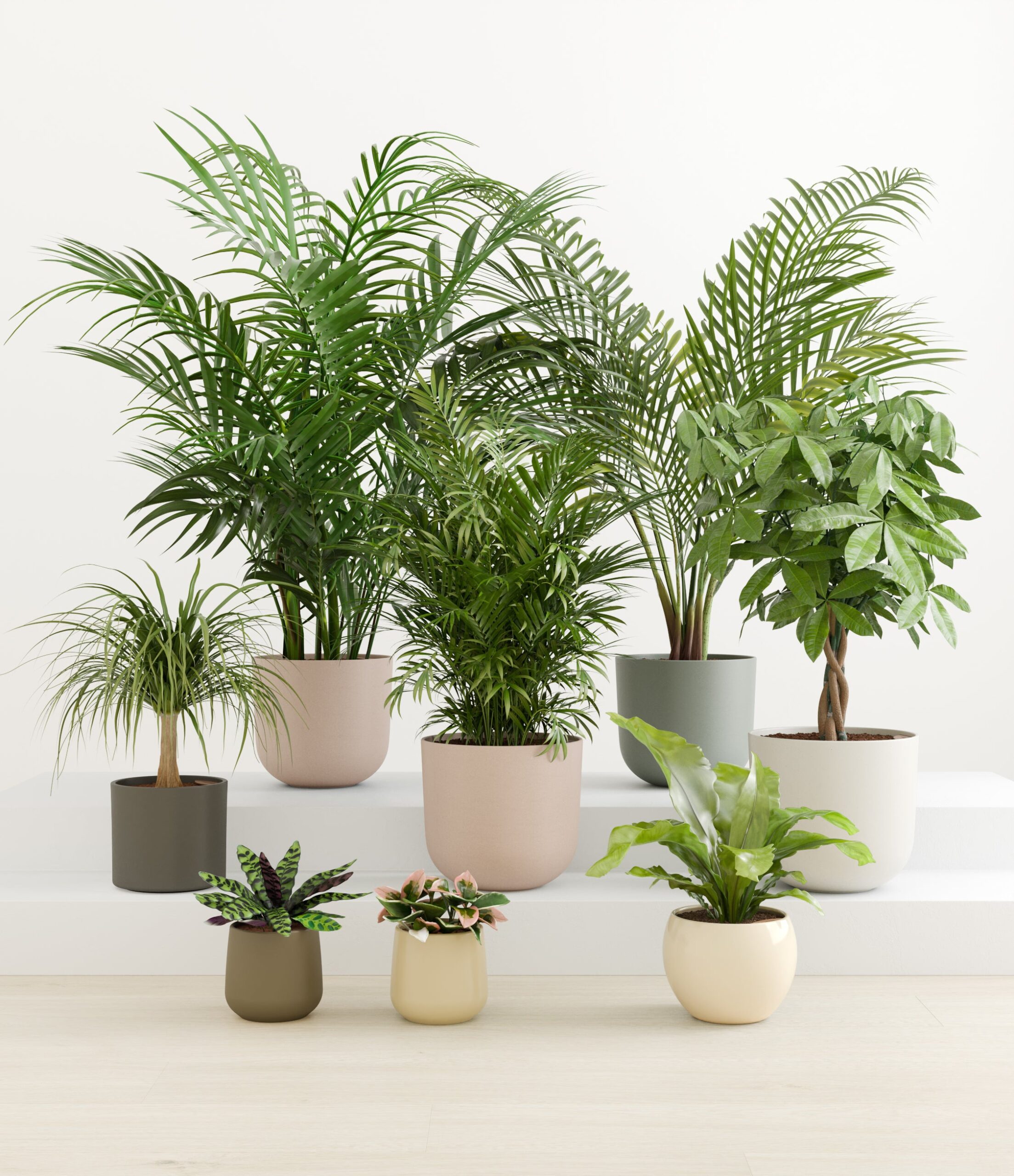 tropical_haven_studio_woodland_palette.jpg