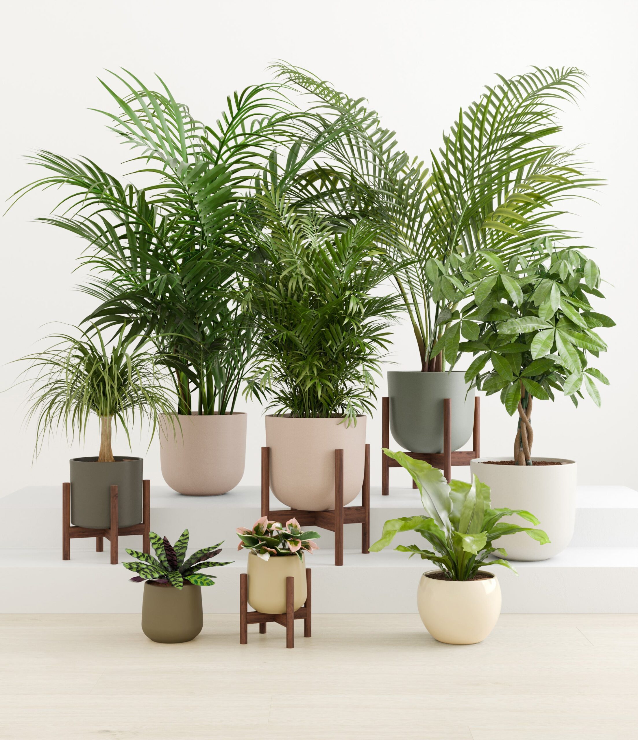 tropical_haven_studio_woodland_palette_4_stands.jpg