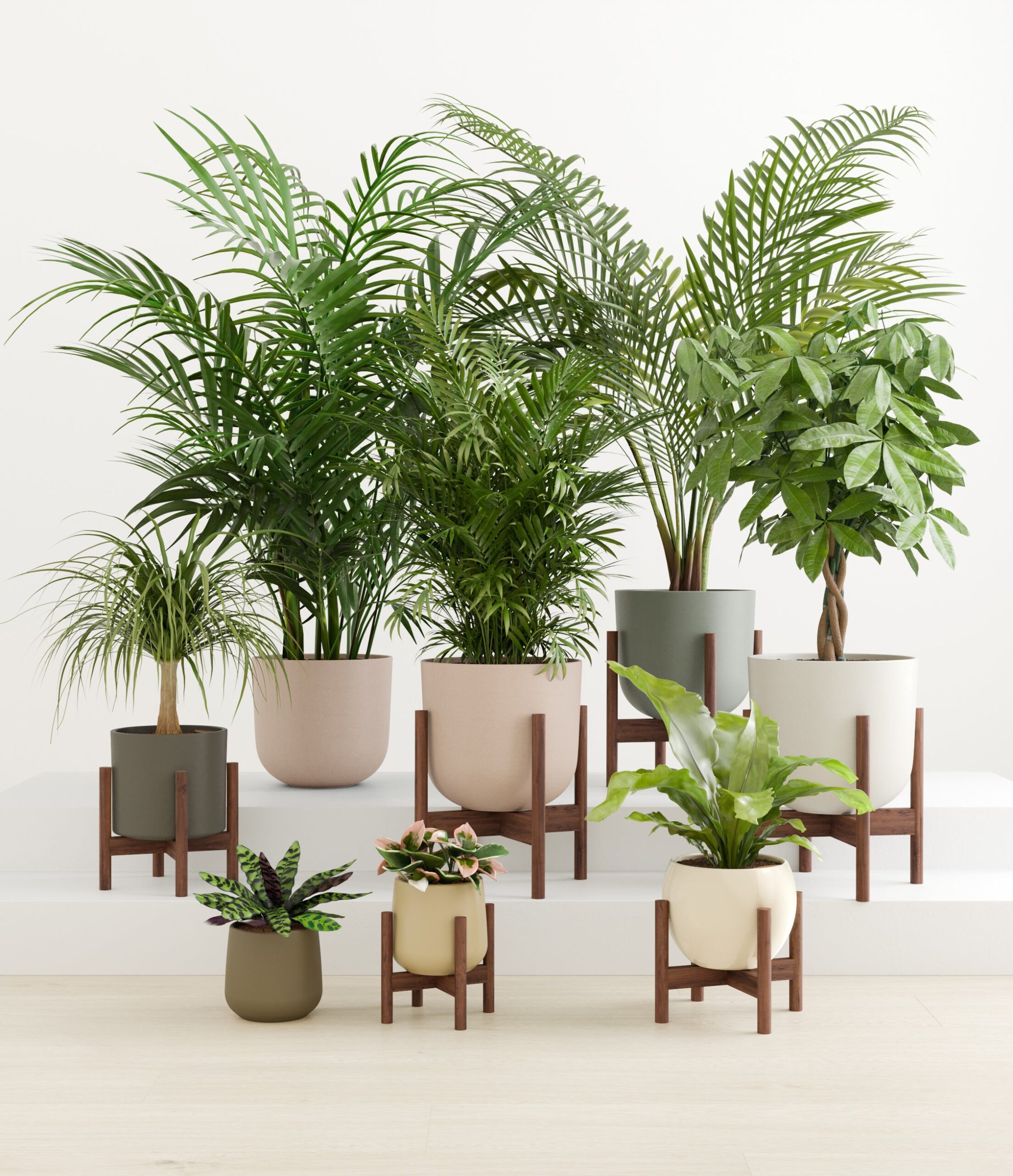 tropical_haven_studio_woodland_palette_6_stands.jpg